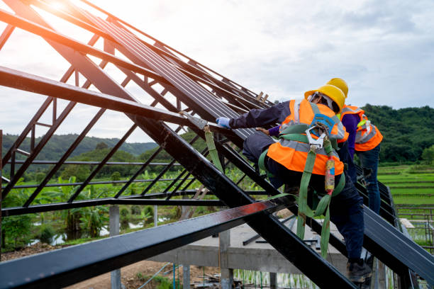 Best Roof Gutter Cleaning  in Camp Swift, TX